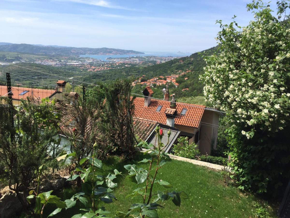 Su Da Noi Bed & Breakfast San Dorligo della Valle Екстериор снимка