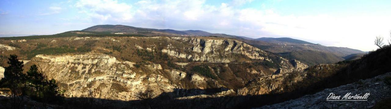 Su Da Noi Bed & Breakfast San Dorligo della Valle Екстериор снимка