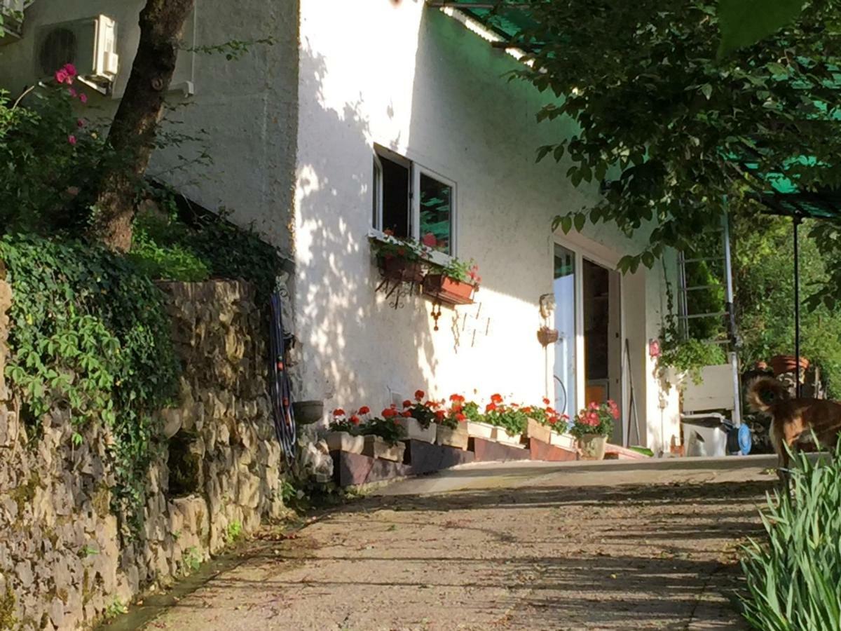 Su Da Noi Bed & Breakfast San Dorligo della Valle Екстериор снимка